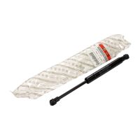 Molla a gas per portellone