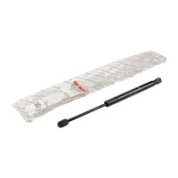 Molla a gas per portellone posteriore