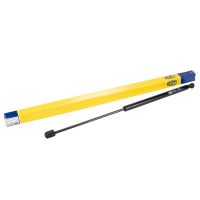 Molla a gas per portellone posteriore