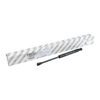 Molla a gas per portellone posteriore