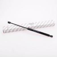 Molla a gas per portellone posteriore