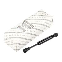 Molla a gas per la capote