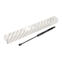 Molla a gas per cofano