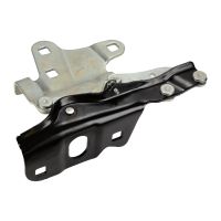 Cerniera cappuccio destro