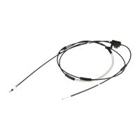 cavo del cambio del cofano