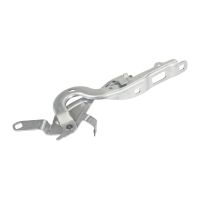 Cerniera del cofano a sinistra