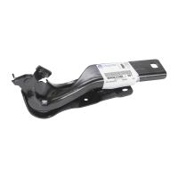 Cerniera del cofano destro