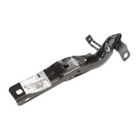 Cerniera del cofano sinistro