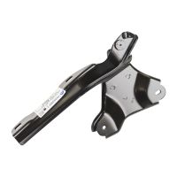 Cerniera del cofano sinistro