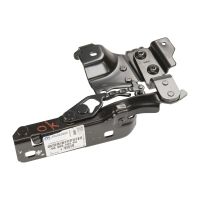 Cerniera del cofano destro