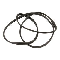 Guarnizione dello sportello posteriore Guarnizione del tronco