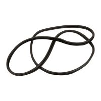 Guarnizione porta sinistra