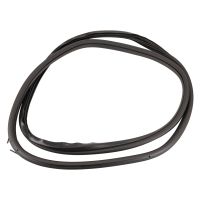 Guarnizione porta anteriore