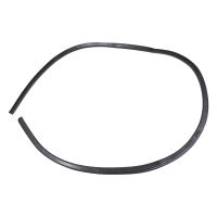 Guarnizione porta anteriore