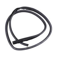 Guarnizione porta posteriore