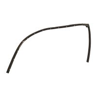 Guarnizione della porta posteriore sinistra