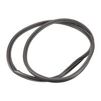 Guarnizione della porta posteriore destra o sinistra