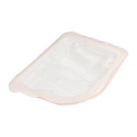 Parte di tenuta PSA OE