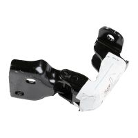 cerniera della porta