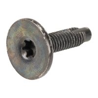 Vite Torx T-30 M6 OE 51810310