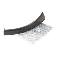 Striscia di rifinitura anterior sinistra PSA OE