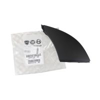 Modanatura del bordo anteriore a sinistra sul lato anteriore anteriore sinistro