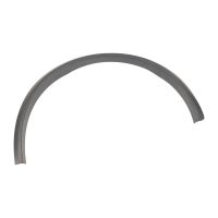 Modanatura esterna su parafango posteriore sinistro