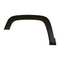 Modanatura del profilo sul parafango anteriore sinistro