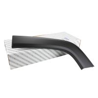 Modanatura del profilo sul parafango posteriore sinistro