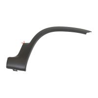 Modanatura del profilo sul parafango anteriore destro