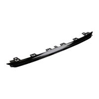 Striscia di rifinitura PSA OE