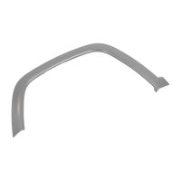 Striscia decorativa davanti a sinistra sul parafango