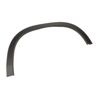 Modanatura decorativa sul parafango anteriore destro