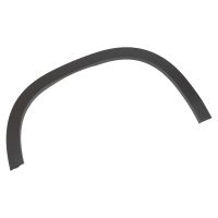 Modanatura decorativa sul parafango anteriore sinistro