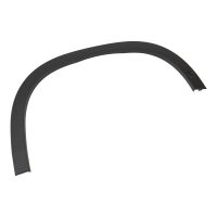 Striscia decorativa nella parte anteriore dell'ala destra