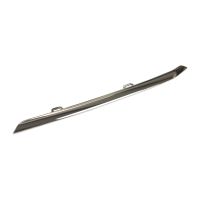 modanatura, griglia radiatore anteriore sinistra