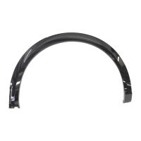 Listello decorativo per il parafango posteriore sinistro