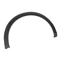 Listello decorativo per il parafango anteriore sinistro