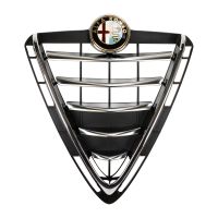 Griglia del radiatore senza kit estetico