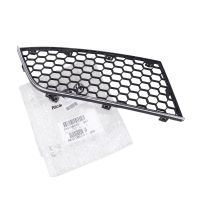 Griglia del radiatore destra