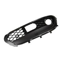 Griglia del radiatore destra