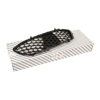 Griglia del radiatore sinistra