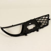 Griglia del radiatore destra