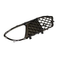 Griglia del radiatore sinistra