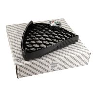 Griglia radiatore anteriore