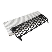 Griglia del radiatore