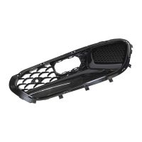 Griglia del radiatore a destra