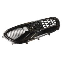 Griglia del radiatore a sinistra