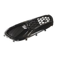 Griglia del radiatore a sinistra