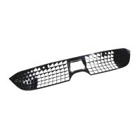 Griglia del radiatore centrale inferiore